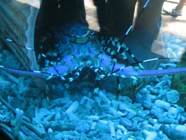 Foto_054.jpg