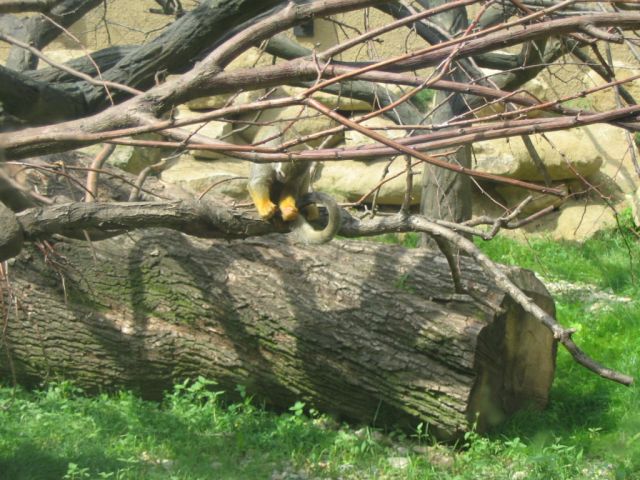 Foto_061.jpg