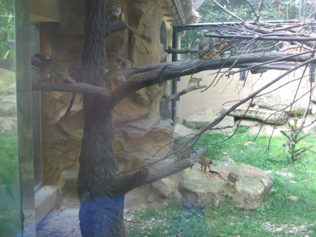 Foto_063.jpg