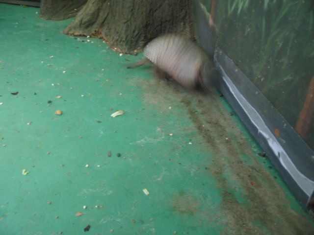 Foto_065.jpg