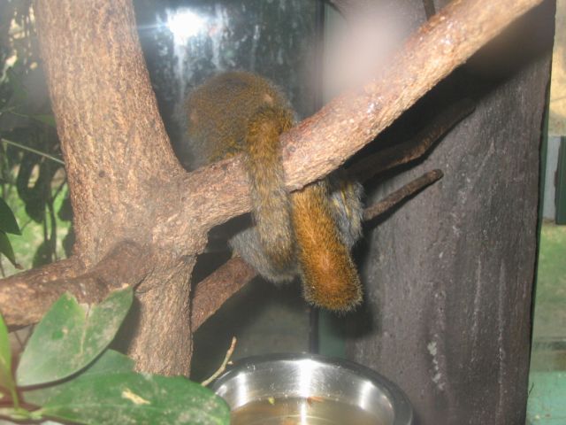 Foto_066.jpg
