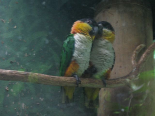 Foto_068.jpg
