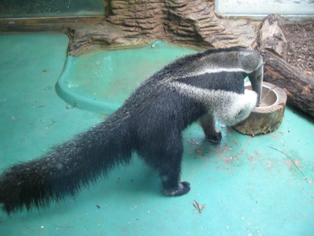 Foto_069.jpg