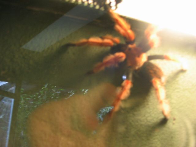Foto_071.jpg