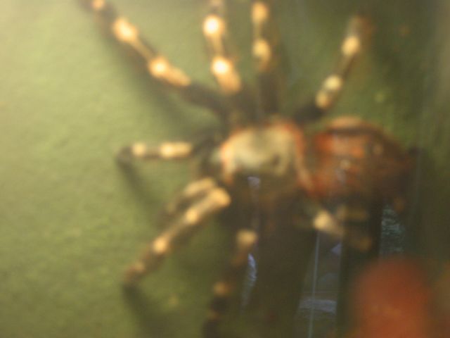 Foto_072.jpg