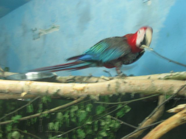 Foto_073.jpg