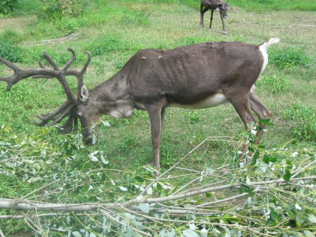 Foto_076.jpg