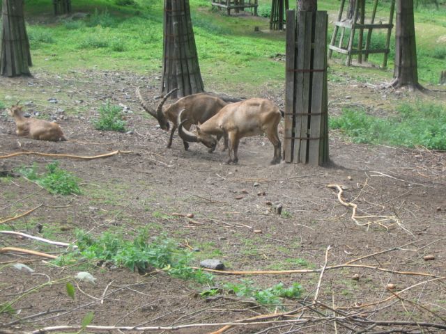 Foto_078.jpg