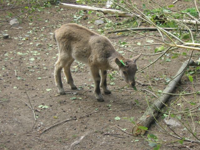 Foto_080.jpg