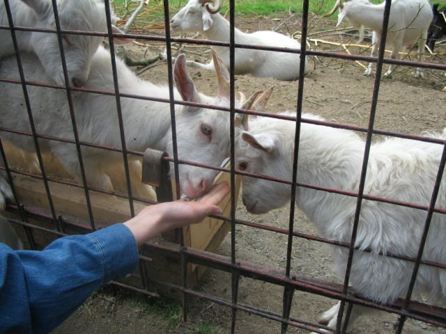 Foto_081.jpg