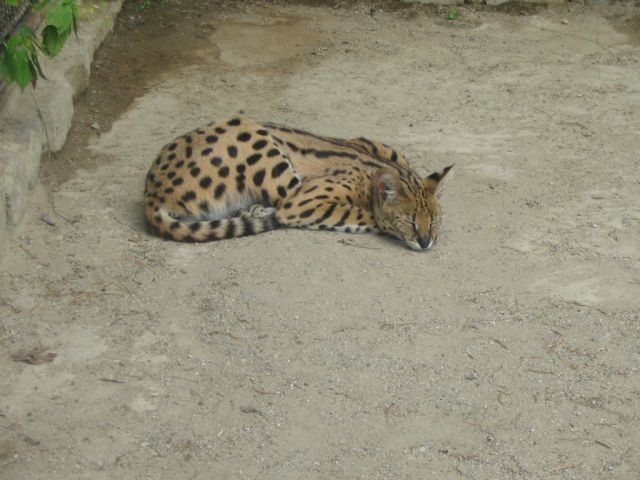 Foto_084.jpg