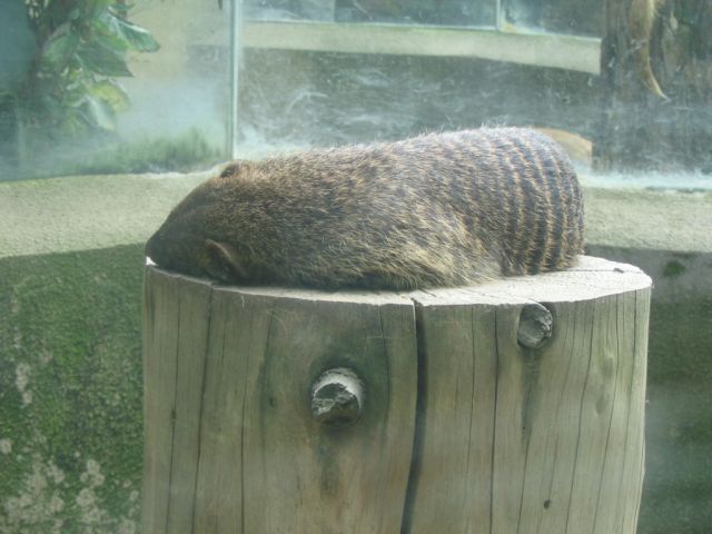 Foto_087.jpg