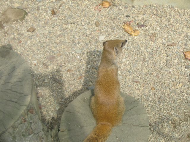 Foto_089.jpg
