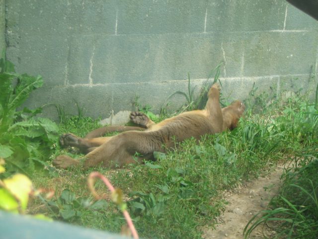 Foto_090.jpg