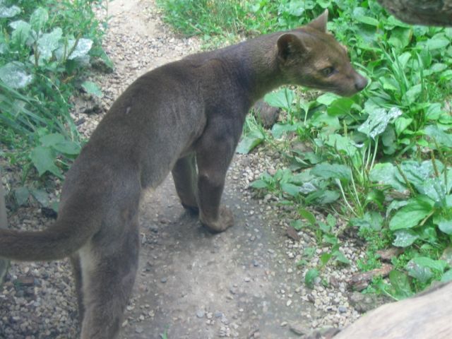 Foto_091.jpg
