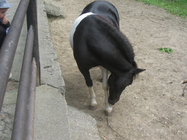Foto_092.jpg