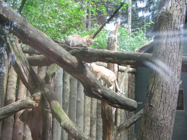 Foto_093.jpg