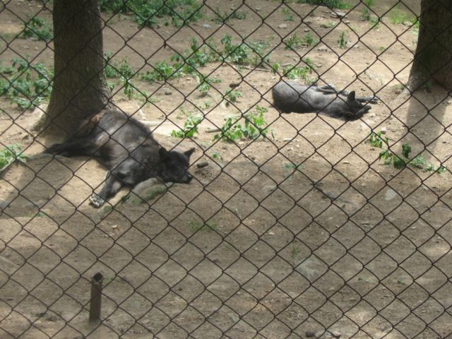 Foto_094.jpg