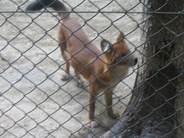 Foto_096.jpg