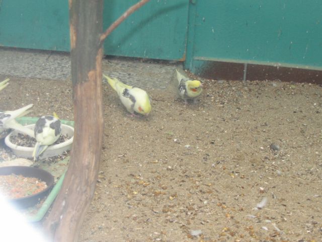 Foto_097.jpg