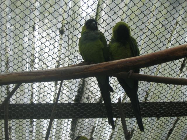 Foto_099.jpg