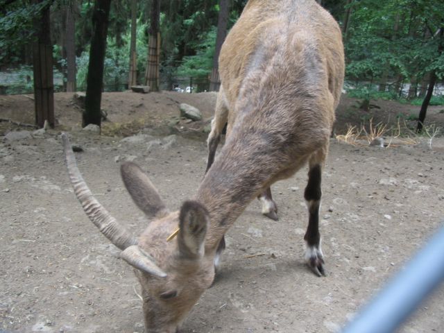 Foto_102.jpg