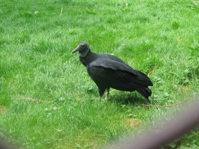 Foto_103.jpg