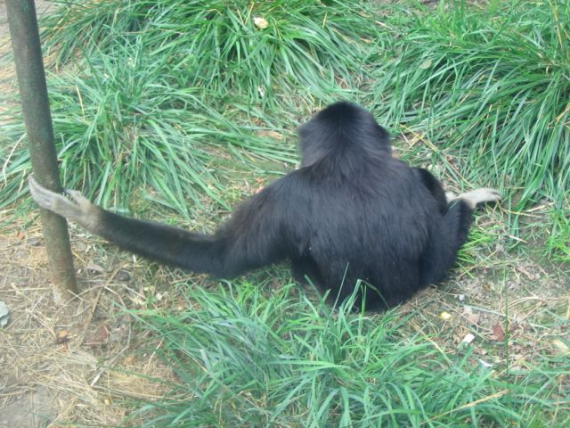 Foto_104.jpg