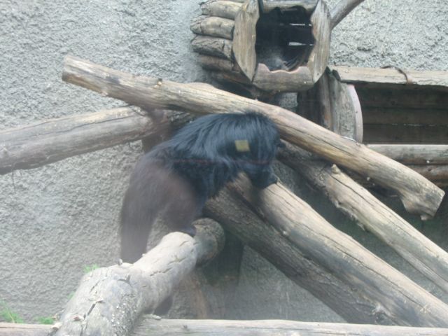 Foto_106.jpg