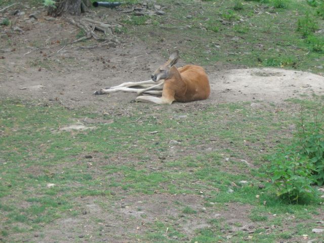 Foto_107.jpg