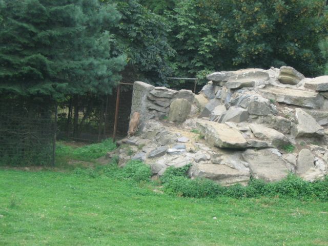 Foto_113.jpg
