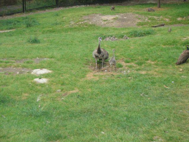 Foto_116.jpg