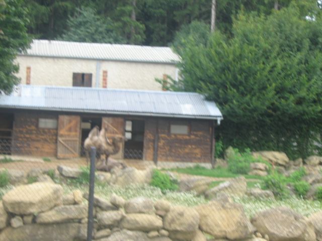 Foto_118.jpg