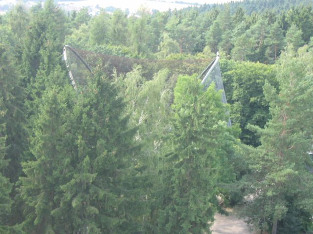 Foto_132.jpg
