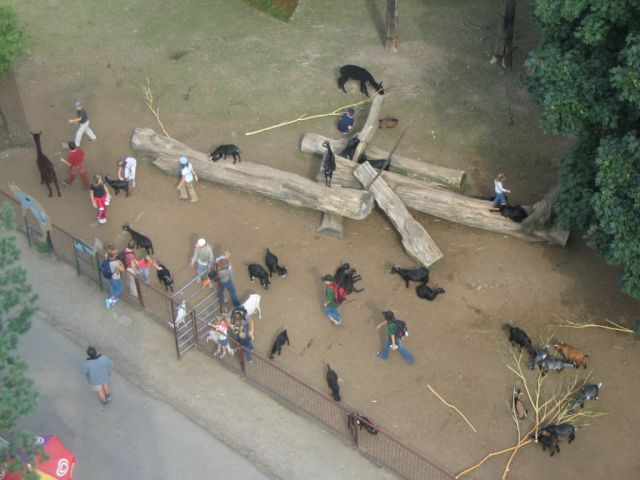 Foto_133.jpg