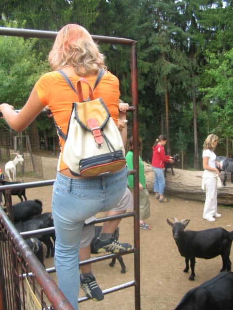 Foto_135.jpg
