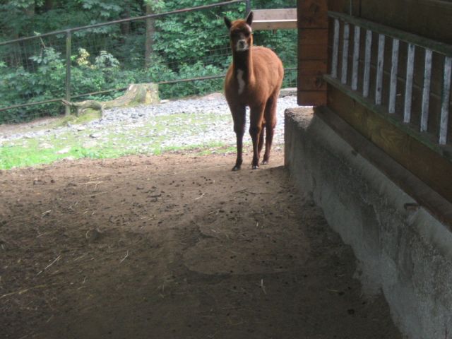 Foto_136.jpg