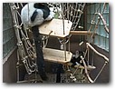 Foto_010.jpg
