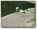 Foto_015.jpg