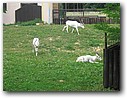 Foto_017.jpg