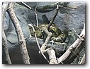 Foto_021.jpg
