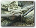 Foto_023.jpg