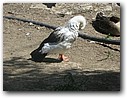 Foto_025.jpg