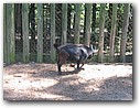 Foto_027.jpg