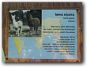 Foto_028.jpg