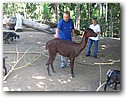 Foto_030.jpg