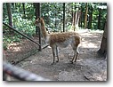 Foto_036.jpg