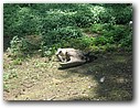 Foto_037.jpg