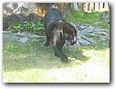 Foto_038.jpg
