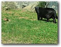 Foto_039.jpg